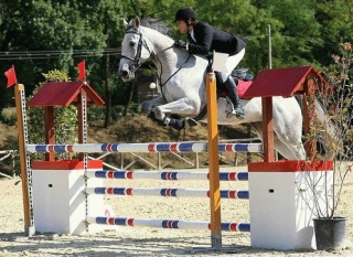  Concursos de preparación de obstáculos de salto 